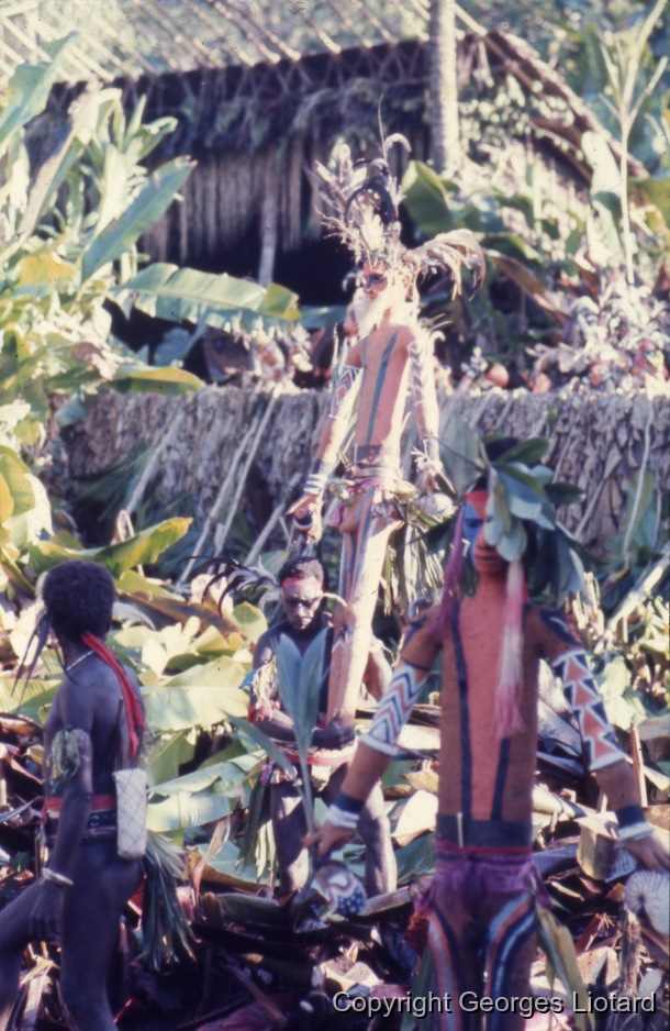 Funérailles à  Malakula (Malekula, Mallicolo) Vanuatu / Rhambaramps. Les Rhambaramps sont passés un à un par-dessus la palissade et installés en ligne derrière les tas d'ignames. / Liotard, Georges / Lamap, Malekula, Vanuatu