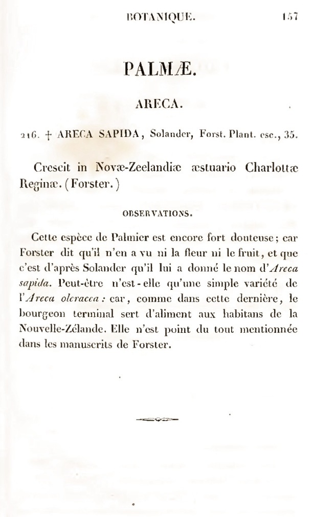 Voyage de découvertes de l'Astrolabe. Botanique / Palmae / Lesson, Pierre-Adolphe et A. Richard / 