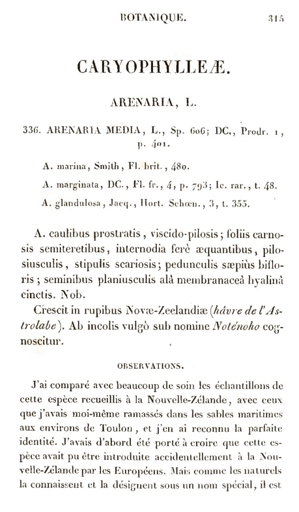 Voyage de découvertes de l'Astrolabe. Botanique / Voyage de découvertes de l'Astrolabe. Botanique / Lesson, Pierre-Adolphe et A. Richard / 