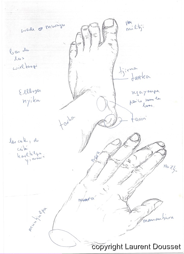 Dessins des parties corporelles et animaux / Parties corporelles: pieds et mains / Laurent Dousset / Australie, Désert de l'Ouest