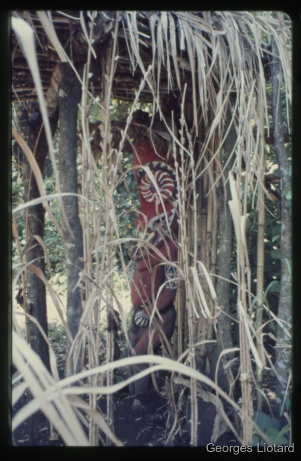 Ile d'Ambrym / Sculpture faite dans le tronc d'une fougère arborescente  / Georges Liotard / Ile Ambrym, Vanuatu