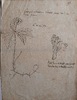 176169