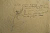 176182