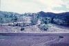 Paysage de champs et de rizières.
