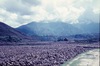 Paysage de champs.