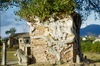 Ficus enserrant le petit temple de Vishnu Varaha.