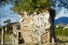 Ficus enserrant le petit temple de Vishnu Varaha. 