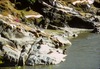 Lessive au bord de la Bagmati.