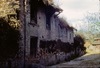 Bouses séchant sur le mur d'une maison.