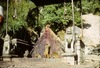 Pierre triangulaire représentant le dieu Bhairav sur la montée vers le sanctuaire de Vajra Yogini.