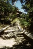 Montée vers le sanctuaire de Vajra Yogini.