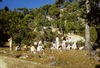 Aire de repos sur le montée vers le sanctuaire de Vajra Yogini (?) 