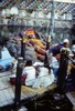 Temple de Budhanilkantha : statue de Vishnu couché.