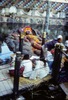 Temple de Budhanilkantha : statue de Vishnu couché. 