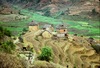 Cultures en terrasses et maisons parbatiya (caste de paysans indo-népalais). 