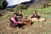 Femmes sherpa en train de filer et de carder la laine.