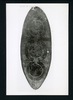 190051