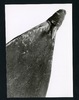 190055