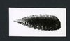 190079