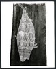 191095