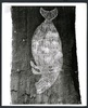 191097