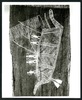 191099