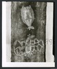 191281