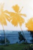 Tahiti - Diapositives couleur