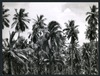 191500