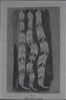 196106