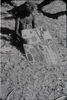 196241