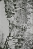 196264