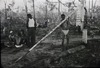 196268
