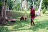 Photographies d'un rituel de graduation (Nimangki) à Lamap, Malekula, Vanuatu