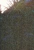 236416