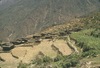 Vue de Sertung : les champs en terrasses après la récolte 