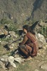 Femme Tamang avec un couteau, dans la haute Ankhu Khola 