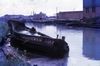 281619