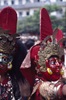 Indra Jatra : cérémonie d'érection du mât (1er jour, astrologiquement daté). A cette occasion, toutes les troupes de danses sont présentes