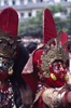 Indra Jatra : cérémonie d'érection du mât (1er jour, astrologiquement daté). A cette occasion, toutes les troupes de danses sont présentes 
 