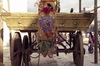 Indra Jatra : char de la Kumari
