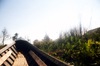 288463