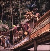 290667