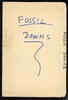 Fossil Downs