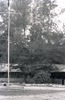 Maring négatifs noir et blanc 1963 - Fiji Port Moresby A245