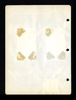 333916