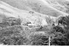 1979 (01)