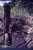 Statues en fougère: 25 septembre 1974 au matin : sur le sentier menant au Nasara, couple de statues en fougère en train de simuler l'acte sexuel. Lorsqu'on demande aux participants ce que cela représente, ils répondent : "Old fella chief em e stap play-play long road" (vieux chef qui prend du bon temps en courd de route)