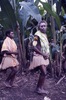 Femme du chef vers le Nasara: Les femmes - jupes en fibre neuve - portant des lap-lap se rendent sur le Nasara - feuilles de croton passées à la ceinture et rameaux de feuilles en main.