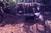 Cochons mis à mort. Les cochons sont mis à mort au moyen d'une baïonnette montée sur un long manche en bois